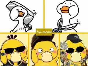 bo suu tap vit meme hai huoc bua boi roi cuc dang yeu 2026 619