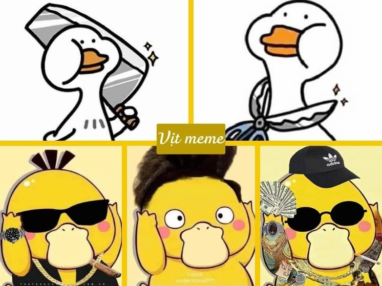 bo suu tap vit meme hai huoc bua boi roi cuc dang yeu 2026 619