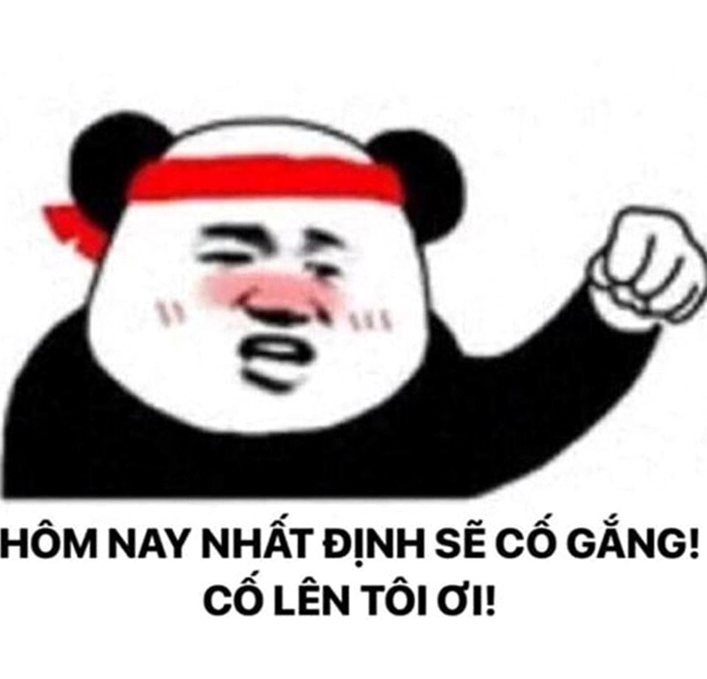 Bức ảnh gấu trúc giơ tay quyết tâm vượt qua khó khăn