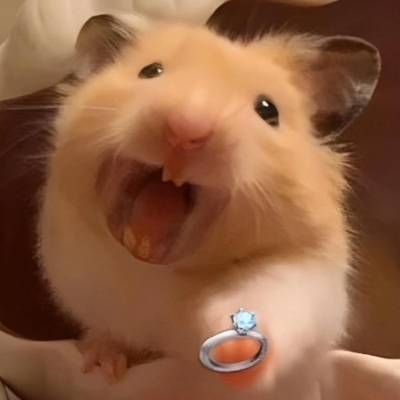 Bức ảnh giải thích meme chuột là gì với biểu cảm vô cùng đáng yêu