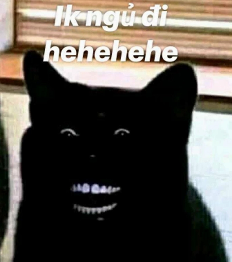 Bức ảnh meme chúc ngủ ngon hài hước với biểu cảm khuôn mặt cực kỳ tấu hài