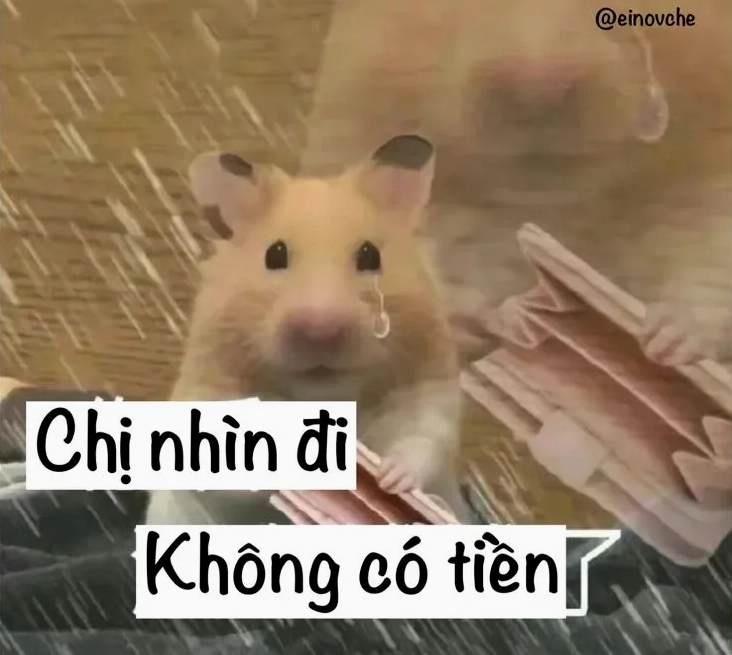 Bức ảnh meme hết tiền với nét vẽ vô cùng dễ thương và ngộ nghĩnh