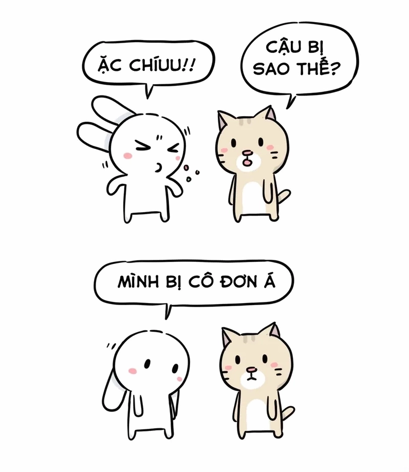 Bức ảnh meme thỏ bảy màu hài hước khiến ai cũng phải bật cười