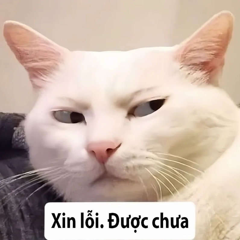 Bức ảnh meme tôi xin lỗi nói lên những tâm tư từ tận đáy lòng