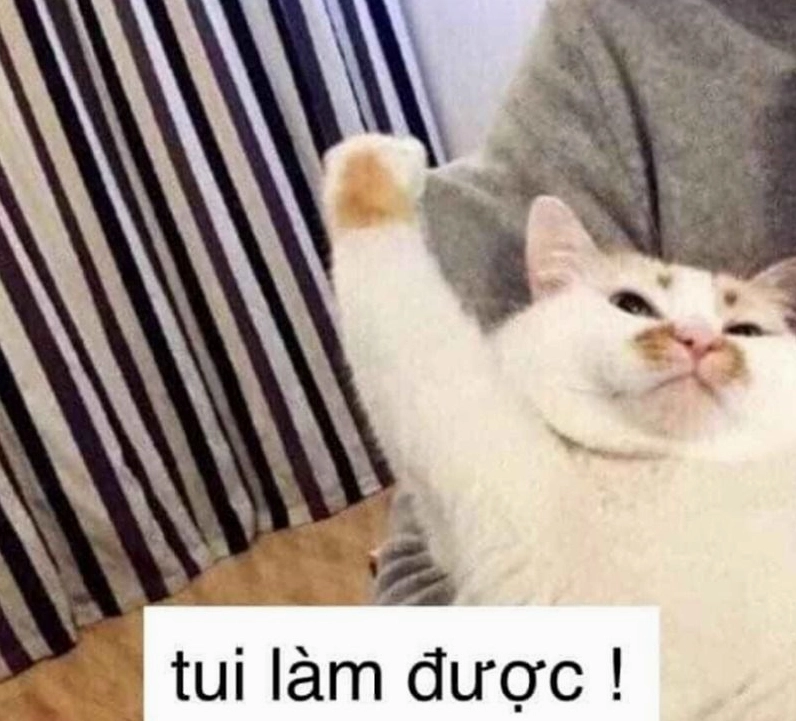 Bức ảnh mèo đáng yêu động viên bạn bè cố gắng