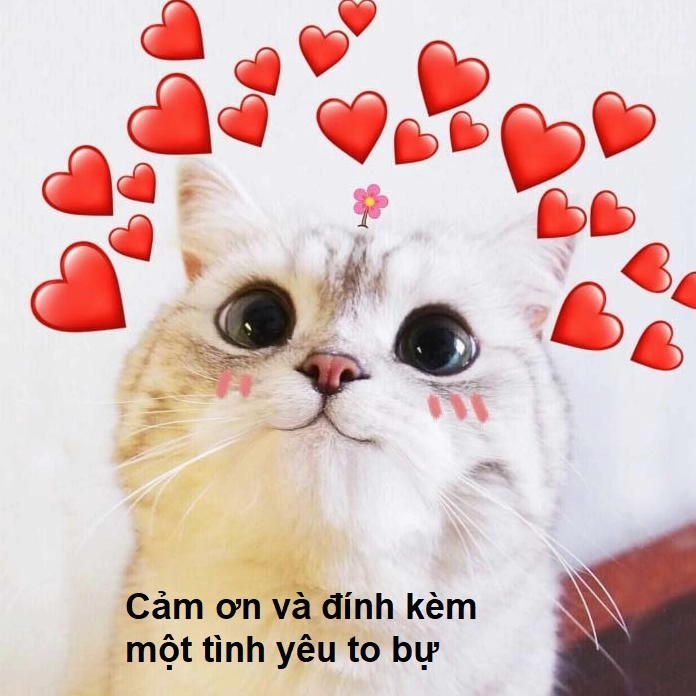 Bức hình ngập tràn sự đáng yêu khiến ai nhìn cũng phải xiêu lòng