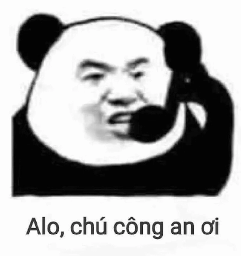 Các meme gấu trúc cảm xúc mạnh khóc lóc