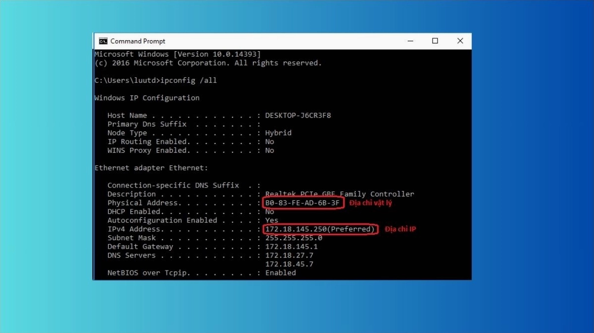 Các phiên bản của địa chỉ IP bao gồm IPv4 và IPv6