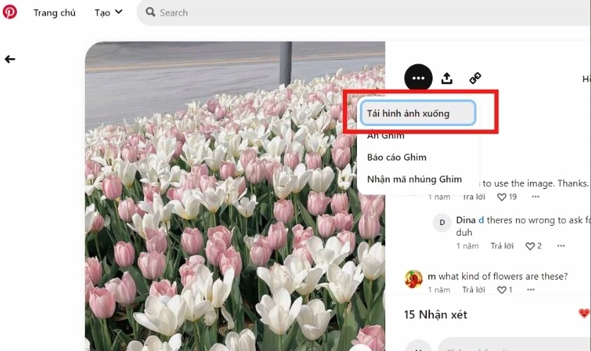 Cách lưu ảnh trên máy tính từ Printest