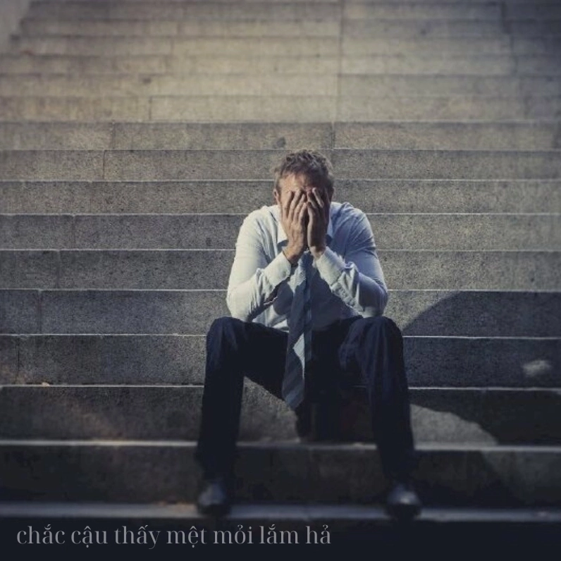 Chắc cậu mệt mỏi lắm hả meme thể hiện sự đồng cảm hài hước nhẹ nhàng