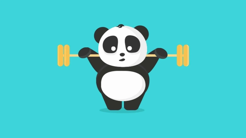 Chiêm ngưỡng bộ sưu tập hình nền gấu trúc cute siêu dễ thương và gợi cảm