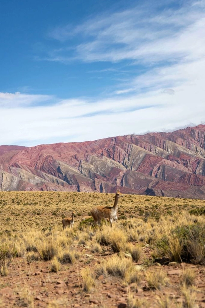 Cô gái buồn bã đứng dưới bến xe buýt trong đêm vắng