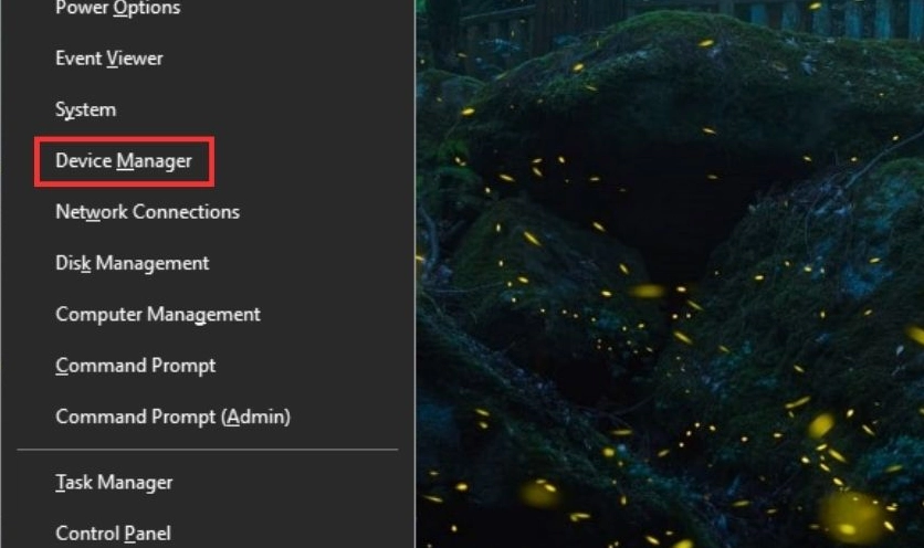 Cửa sổ Device Manager hiển thị mục Display adapters chứa thông tin về card màn hình