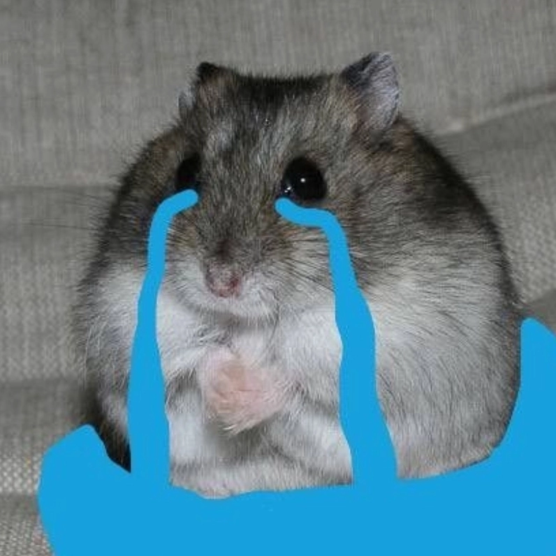 Cười không ngớt với loạt meme con chuột bá đạo nhất mạng xã hội