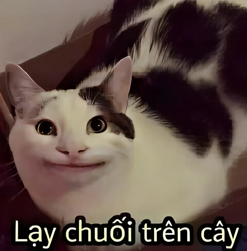 Bộ sưu tập 30 ảnh meme lạy siêu hài hước cực bựa cho dân mạng 16 Dân tình quỳ lạy hóng drama căng đét