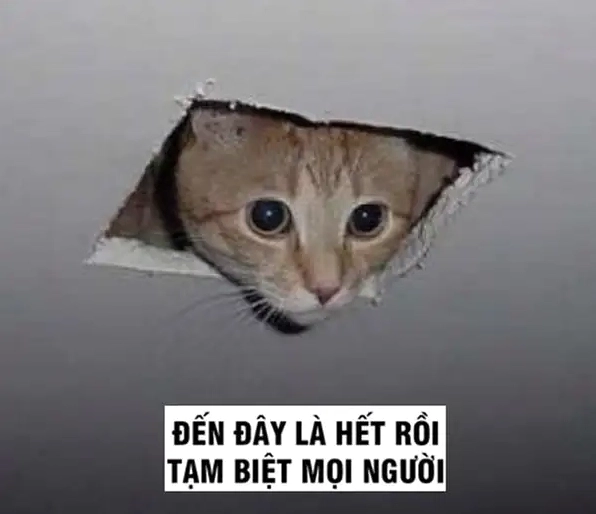 Đăng nhẹ bye meme là cả thế giới biết bạn rời đi trong kiêu hãnh
