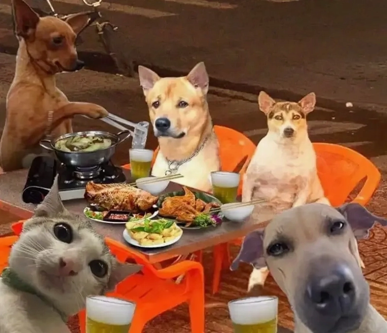 Dog laugh meme chắc chắn sẽ khiến bạn bật cười mỗi khi nhìn thấy