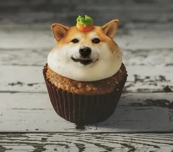 Doge meme cheems kết hợp sự đáng yêu và hài hước làm bạn cười thả ga