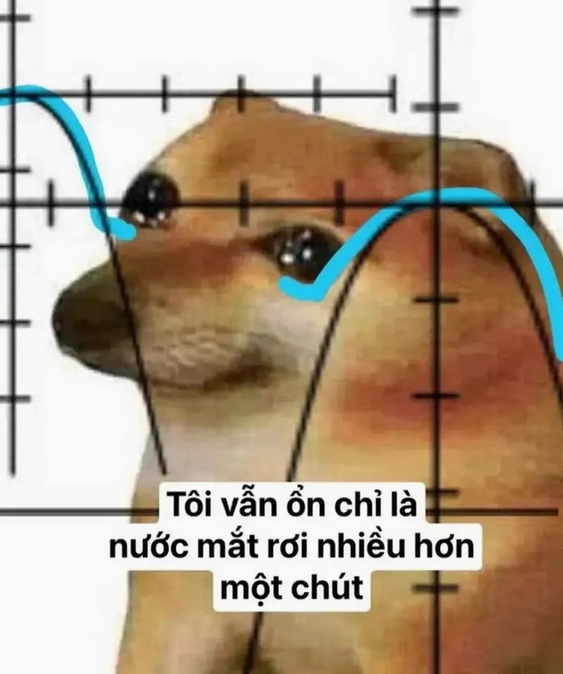 Dogs meme tổng hợp các hình ảnh hài hước và biểu cảm dễ thương nhất