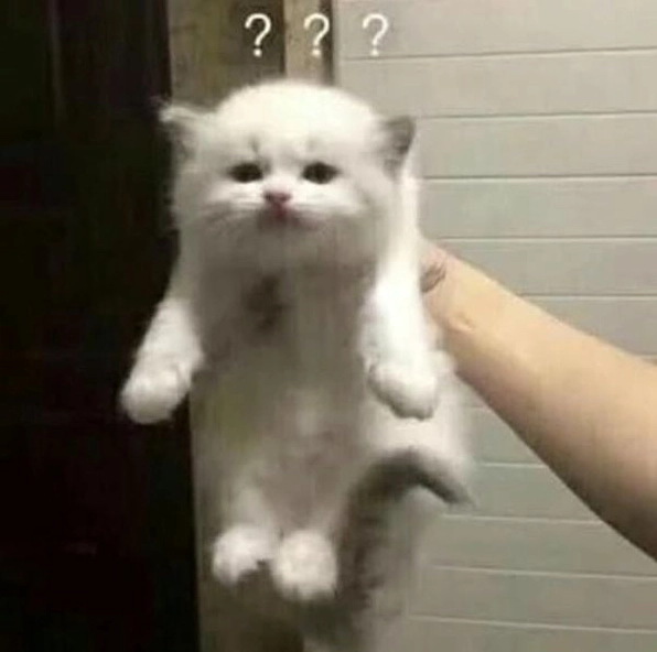 Đôi môi hé mở khơi gợi muôn vàn câu hỏi
