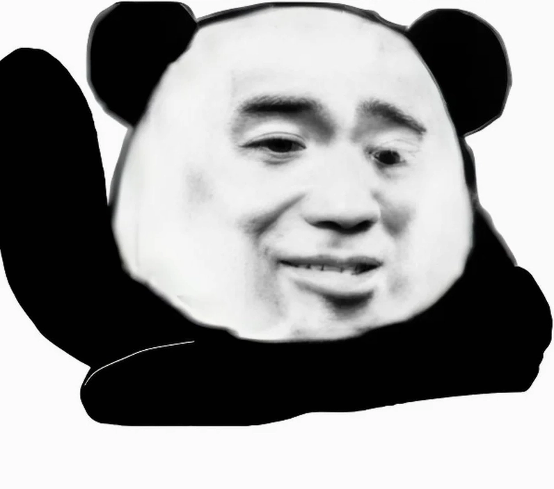 Gấu trúc bựa với ánh mắt sắc lẹm sẵn sàng đáp trả mọi lời chỉ trích