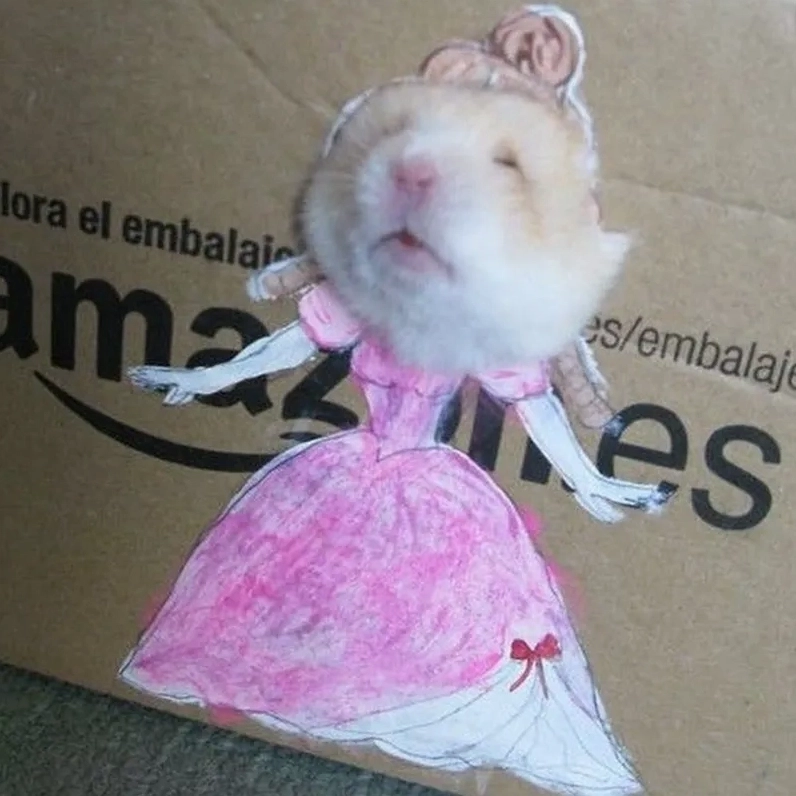 Giải stress tức thì với cute hài hước meme chuột hamster