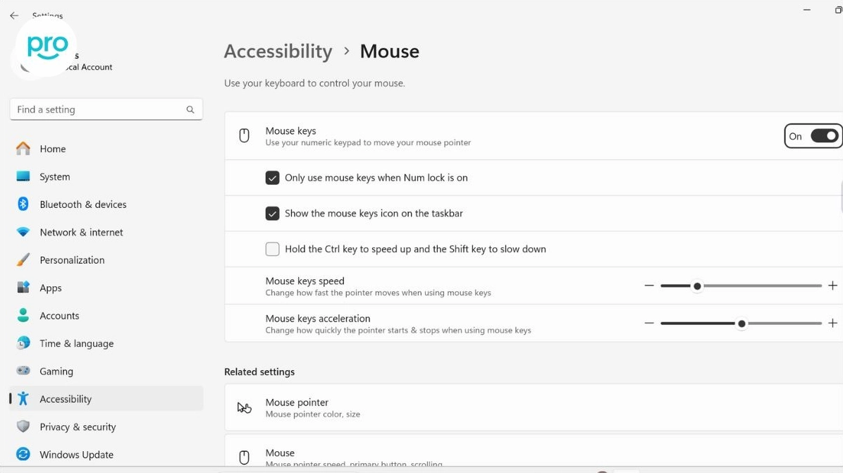Giao diện bật tính năng Mouse Keys trong phần trợ năng của hệ điều hành