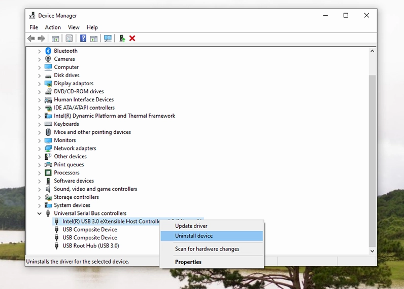 Giao diện trình quản lý thiết bị Device Manager với mục điều khiển bus nối tiếp vạn năng được mở rộng