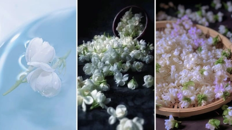 Góc chụp cận cảnh cánh hoa nhài mượt mà