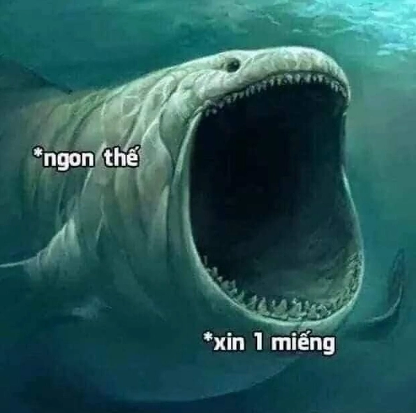 Bộ sưu tập meme há mồm hài hước nhất khiến bạn không thể nhịn cười 14 Gương mặt bất ngờ của meme há mồm khiến ai cũng bật cười