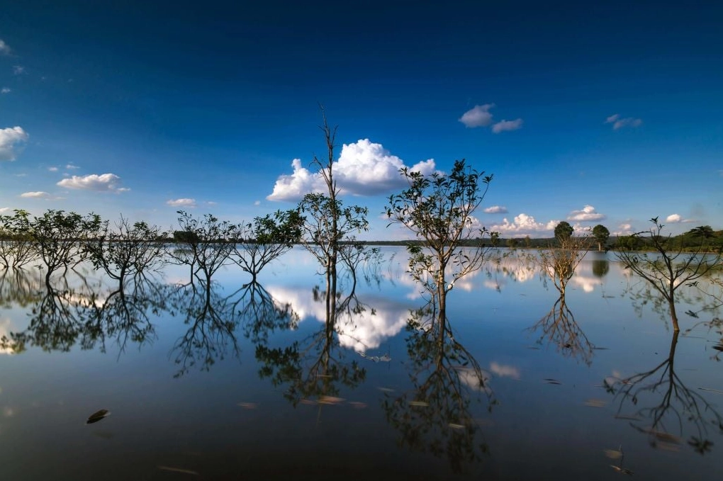 Bộ sưu tập hình ảnh cô gái buồn trong đêm đầy cảm xúc 11 Hình ảnh cô gái xõa tóc buồn bã trong đêm