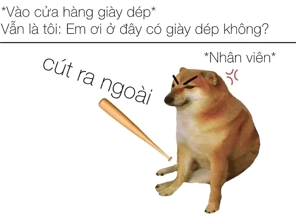 Hình ảnh Doge meme huyền thoại với biểu cảm dễ thương và hài hước