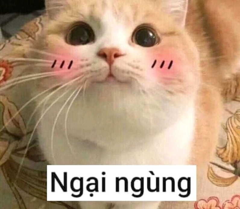 Tổng hợp 30 hình ảnh meme ngại siêu đáng yêu gây sốt mạng xã hội 7 Hình ảnh động vật ngượng ngùng lẩn trốn ống kính