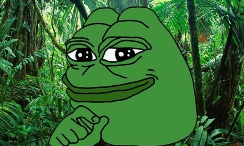 Hình ảnh ếch xanh tự mãn khoe vẻ quyến rũ