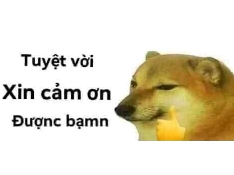 Hình ảnh hài hước dùng để thay lời cảm tạ bạn bè