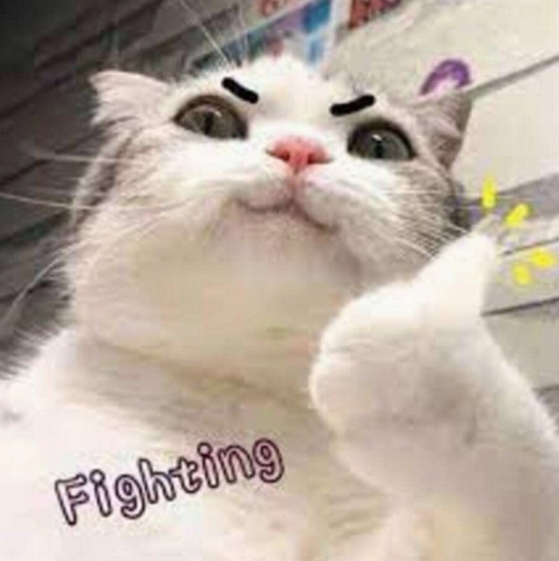 Hình ảnh lý giải sức hút mãnh liệt của meme cố lên