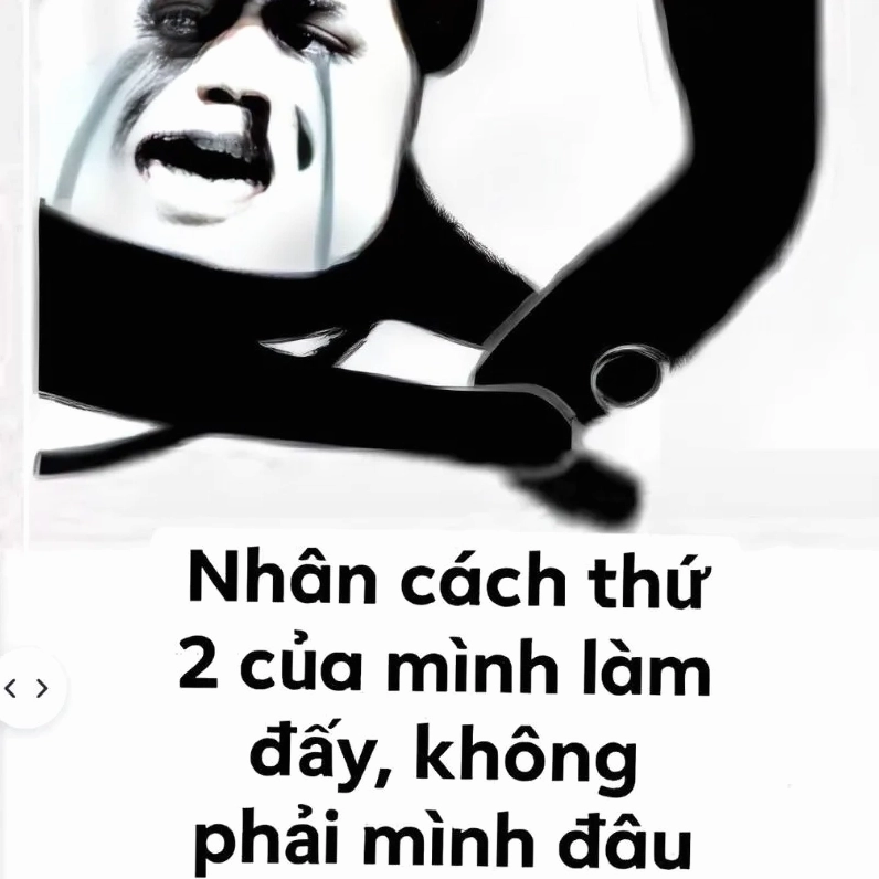 Hình ảnh mẫu đơn xin lỗi meme lầy lội gửi cho đối tác