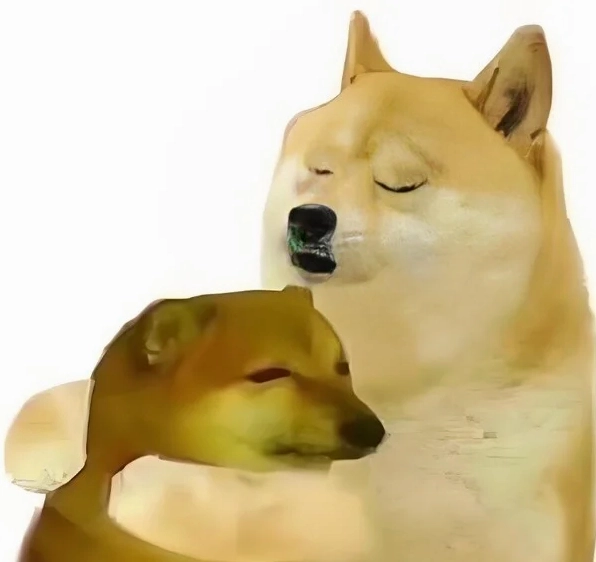Hình ảnh meme chó Cheems ôm nhau đầy tính giải trí