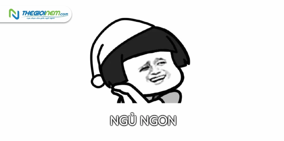 Hình ảnh meme chúc ngủ ngon độc đáo gửi crush cực dính