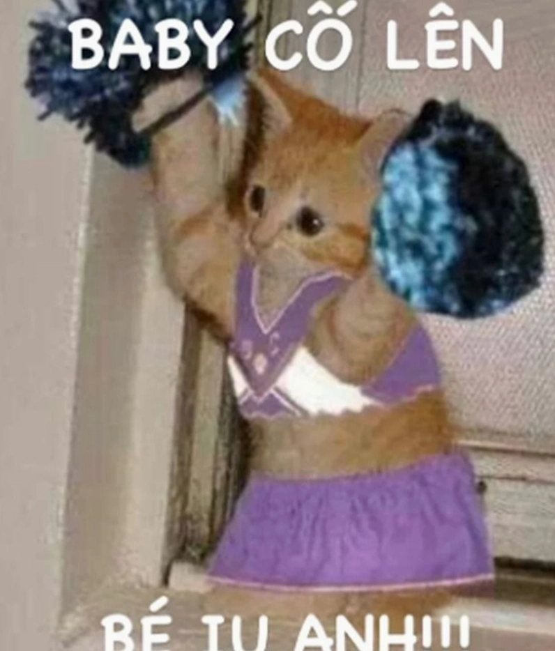 Hình ảnh meme mèo giơ nắm đấm quyết tâm vươn lên