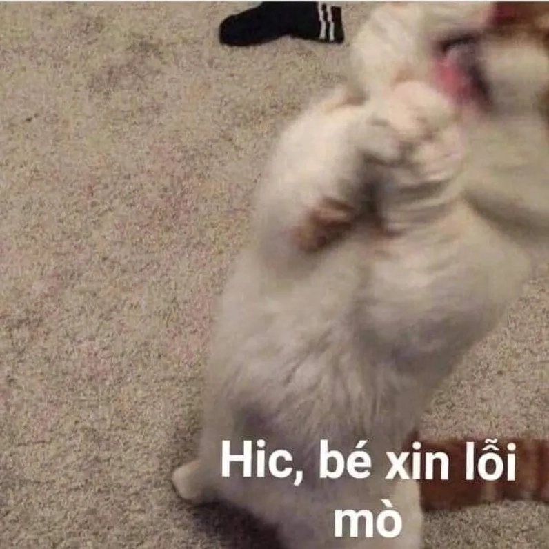 Hình ảnh meme nếu em sai thì đây là em xin lỗi