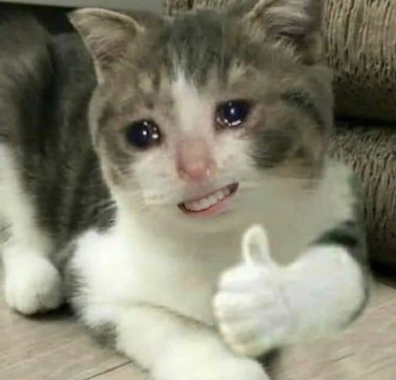 Hình ảnh meme ok mèo đẹp lung linh