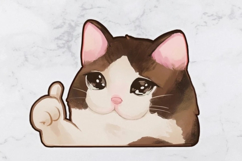 Hình ảnh meme ok mèo với đôi mắt to tròn
