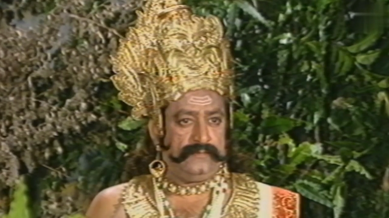 Hình ảnh mèo mếu máo đòi bế cực kỳ đáng yêu