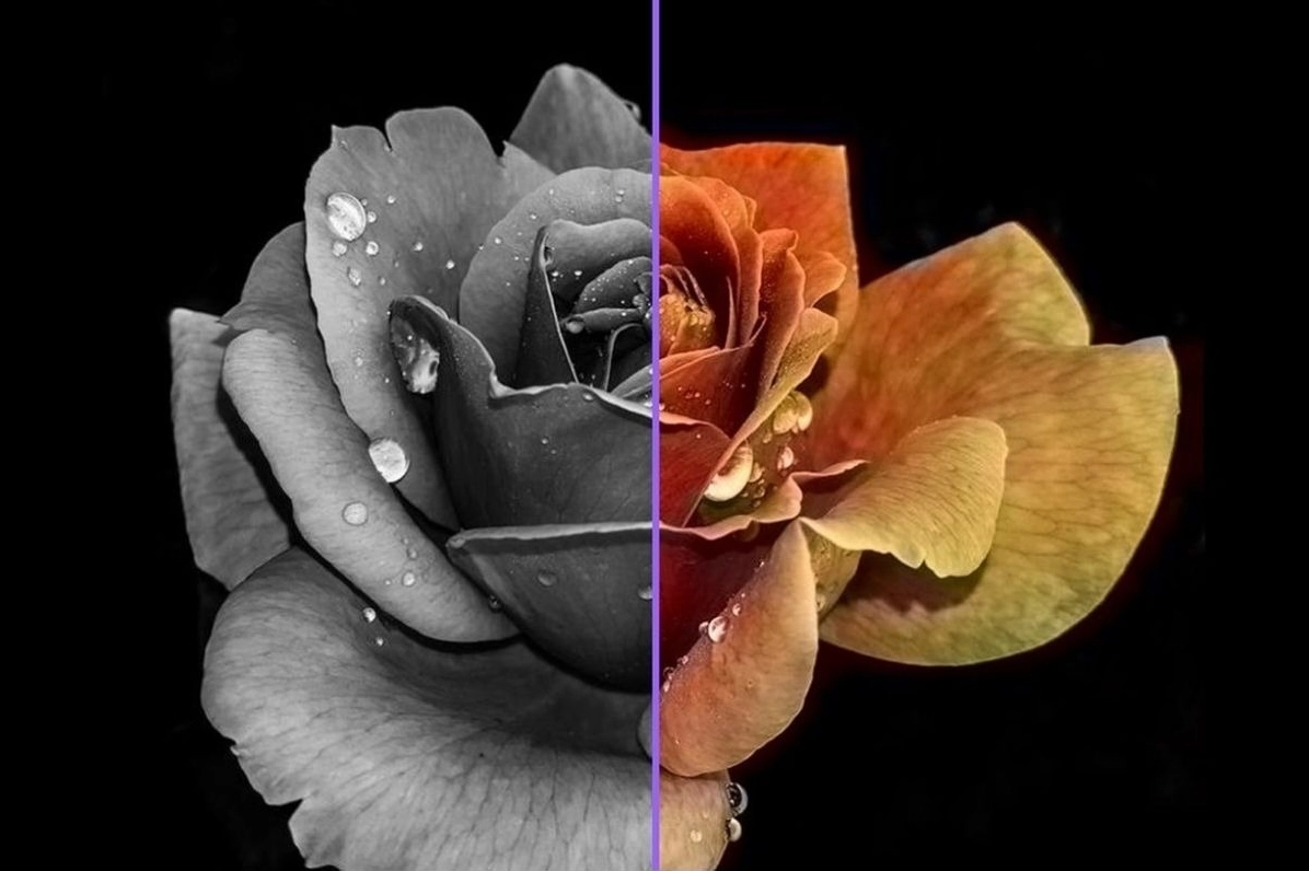 Hình ảnh minh họa sự khác biệt giữa vùng sáng và vùng tối trên màn hình laptop