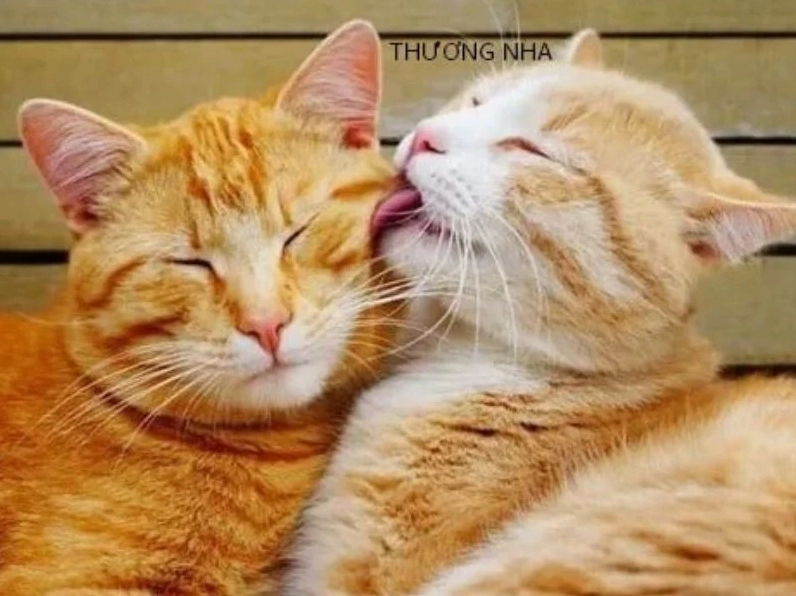 Hình ảnh ôm chầm lấy nhau san sẻ nỗi buồn