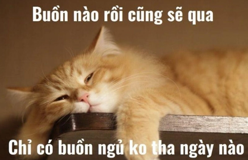 Hình ảnh thể hiện ý nghĩa của meme chúc ngủ ngon qua biểu cảm ngộ nghĩnh