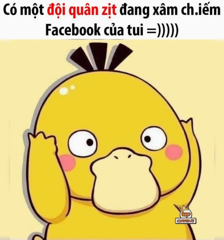 Hình ảnh vịt meme hài hước thè lưỡi trêu chọc mang tính giải trí cao