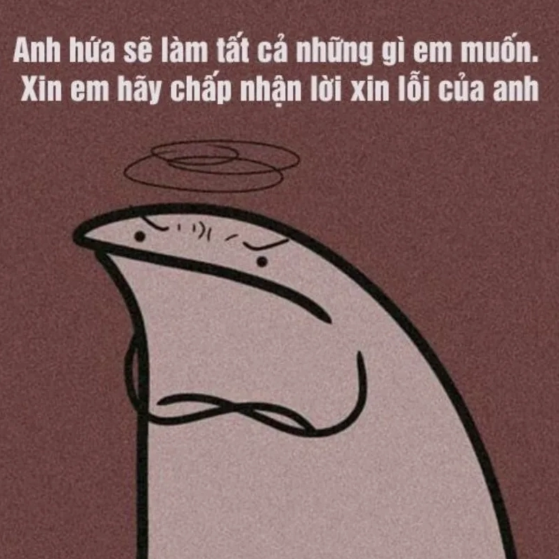 Hình ảnh xem xong meme xin lỗi là quên sạch mọi muộn phiền