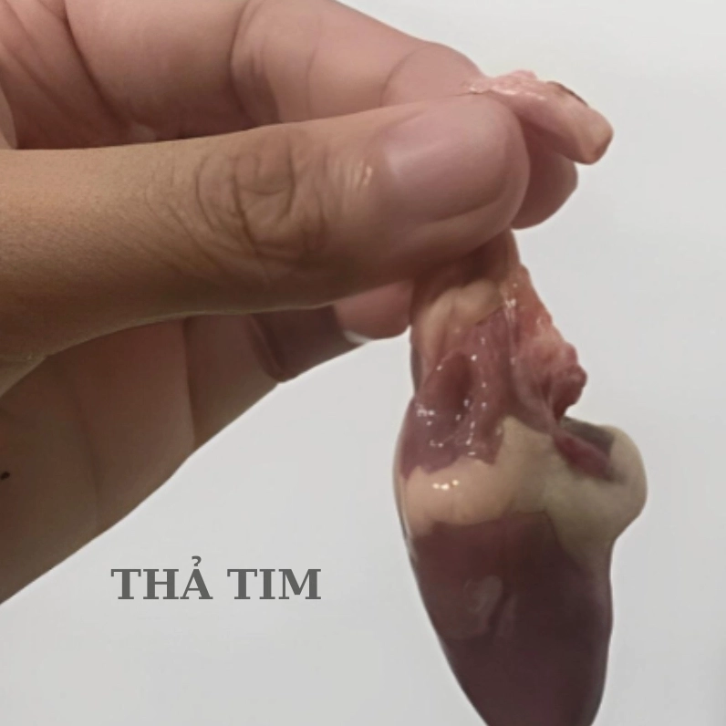 Hình chế thả tim cực bựa và hài hước sẽ khiến bạn không thể nhịn cười
